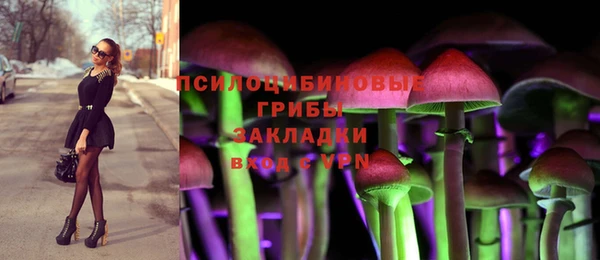 мяу мяу мука Алексин