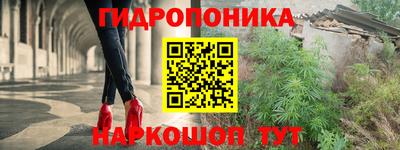 гидропоника Дубна