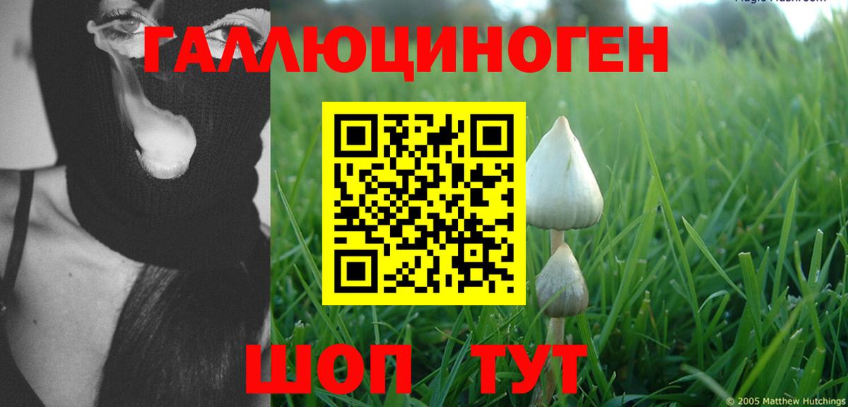 Галлюциногенные грибы Cubensis Чебаркуль