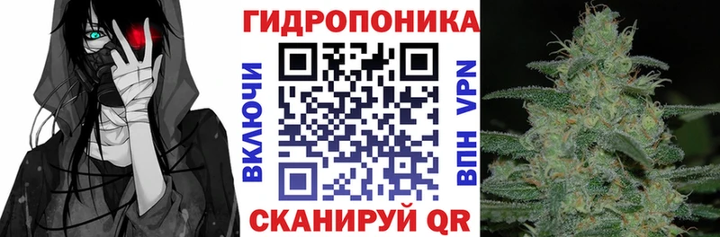 гидра ССЫЛКА  дарнет шоп  Чебаркуль  Канабис AK-47 